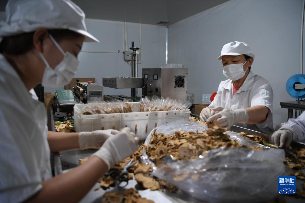 c9官网下载